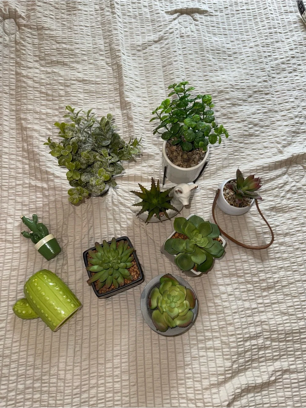 9 pc Small Faux Succulent Planter Collection